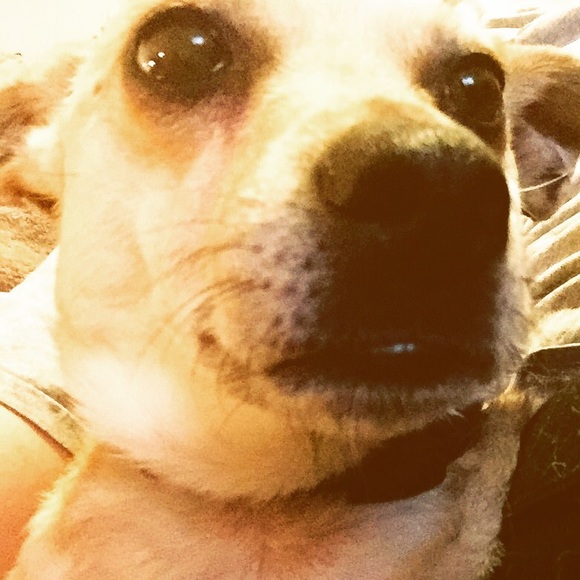 Meet your Posher, Gabriella - Picture 1 of 1